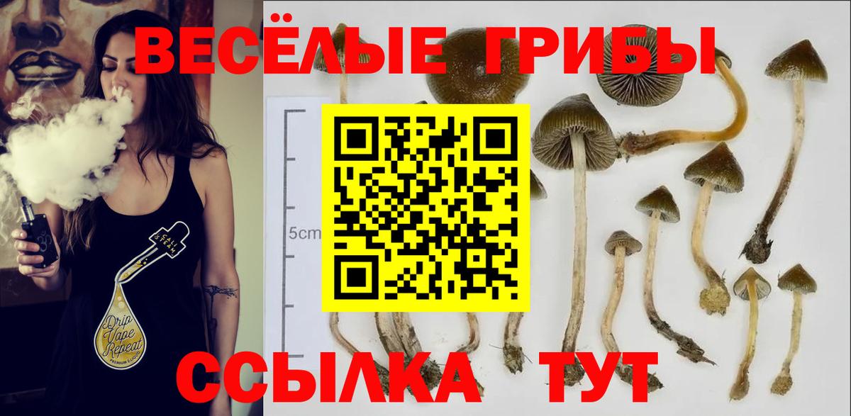 Псилоцибиновые грибы Magic Shrooms Татарск